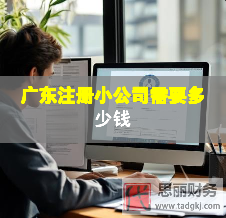 广东注册小公司需要多少钱