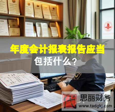 年度会计报表报告应当包括什么？