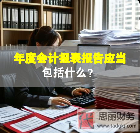 年度会计报表报告应当包括什么？