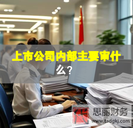 上市公司内部主要审什么？