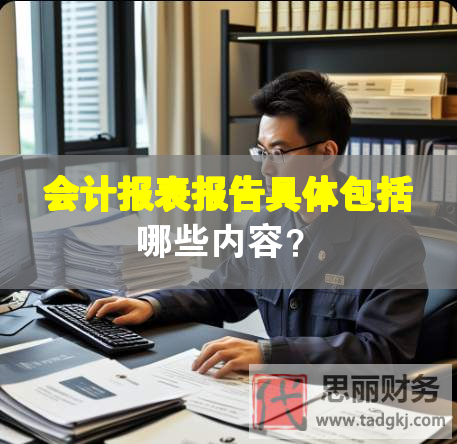 会计报表报告具体包括哪些内容？