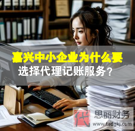 嘉兴中小企业为什么要选择代理记账服务？