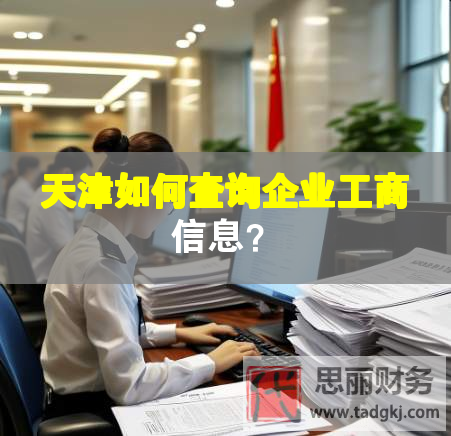 天津如何查询企业工商信息？