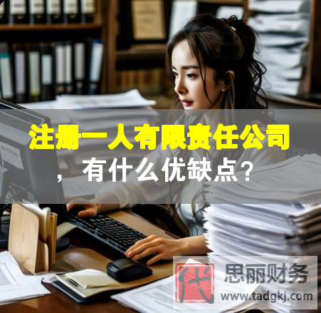 注册一人有限责任公司，有什么优缺点？