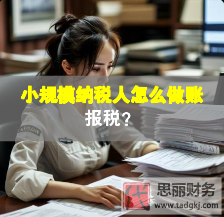 小规模纳税人怎么做账报税？