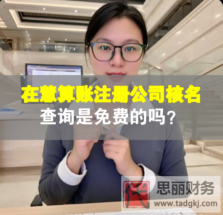 在慧算账注册公司核名查询是免费的吗？