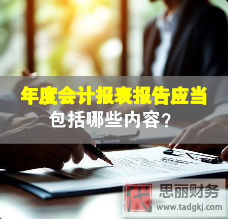 年度会计报表报告应当包括哪些内容？