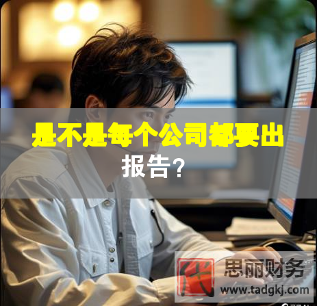 是不是每个公司都要出报告？