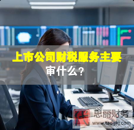 上市公司财税服务主要审什么？