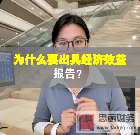 为什么要出具经济效益报告？