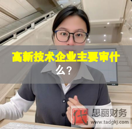 高新技术企业主要审什么？