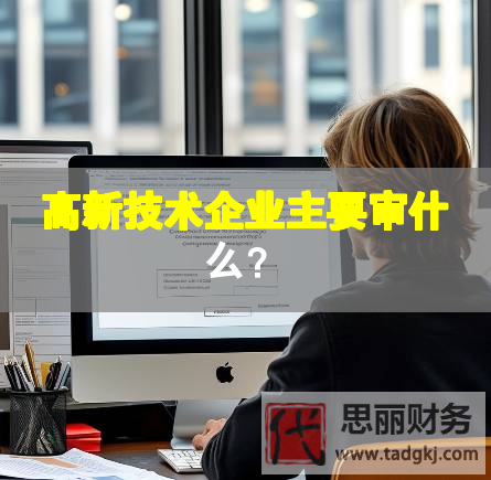 高新技术企业主要审什么？