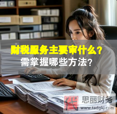 财税服务主要审什么？需掌握哪些方法？