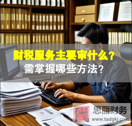 财税服务主要审什么？需掌握哪些方法？